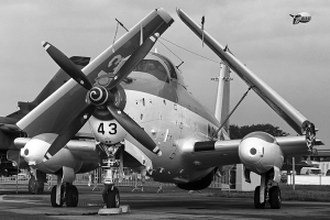 © Paul Filmer- Global Aviation Resource2
