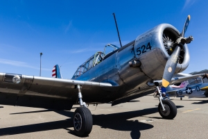 © Rob Edgcumbe - Global Aviation Resource