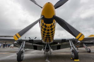 © Rob Edgcumbe - Global Aviation Resource