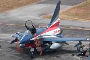 © Paul Filmer - Global Aviation Resource
