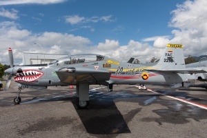© Paul Filmer - www.globalaviationresource.com