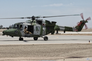 ZG916_Lynx_7005
