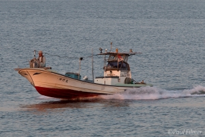 © Paul Filmer - www.globalaviationresource.com