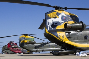 © Tom Gibbons - Global Aviation Resource