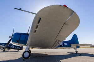 © Rob Edgcumbe - Global Aviation Resource