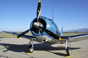 © Elliott Marsh - Global Aviation Resource