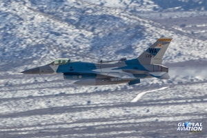 © Tom Gibbons - Global Aviation Resource
