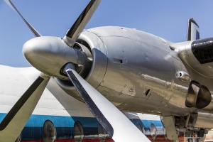 © Raul Pereira - POA Spotter