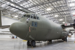 © Tom Gibbons - Global Aviation Resource