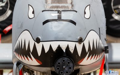 Military Exercise – Hawgsmoke 2016