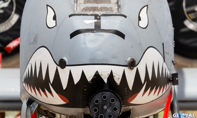 Military Exercise – Hawgsmoke 2016